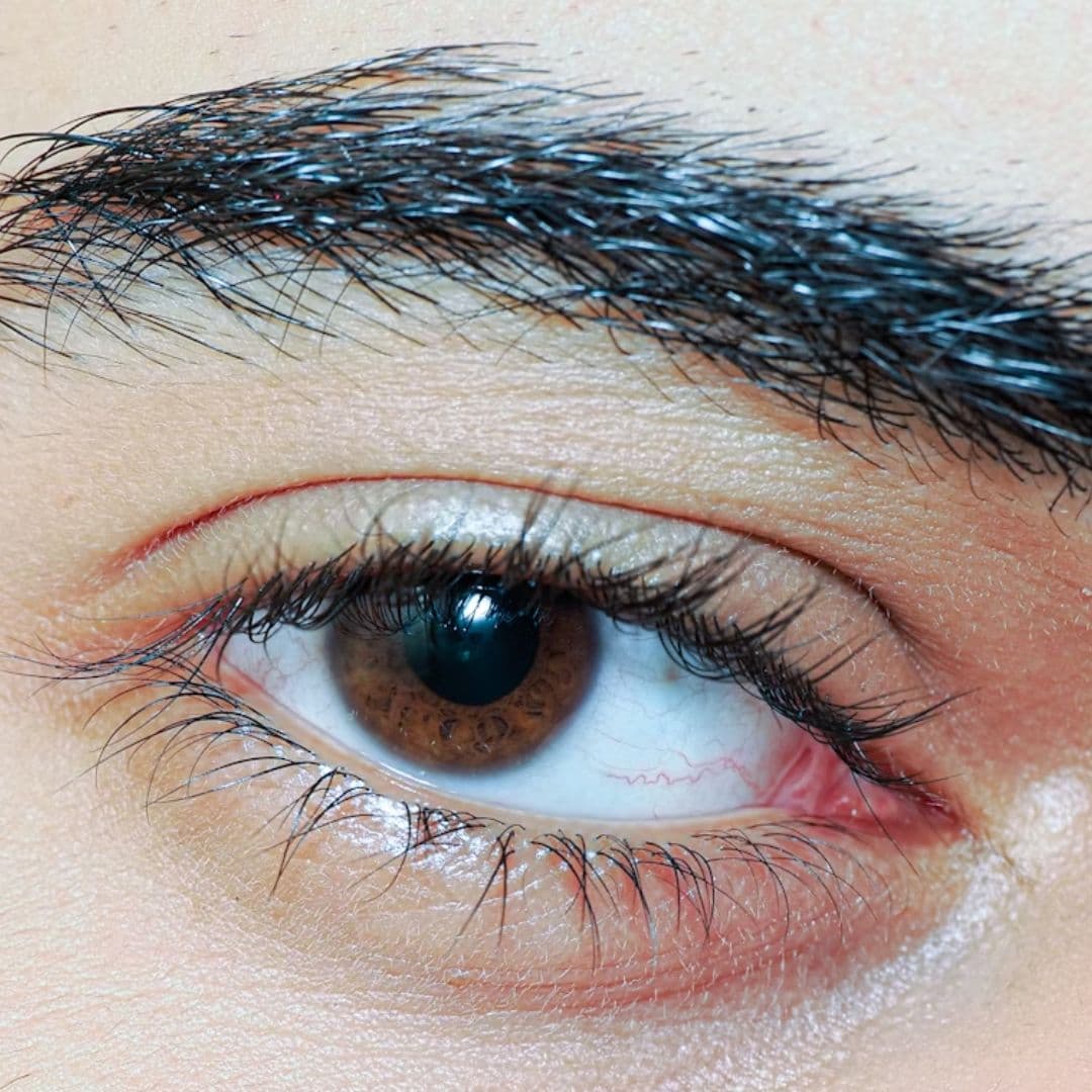 Eyebrow shape & tint